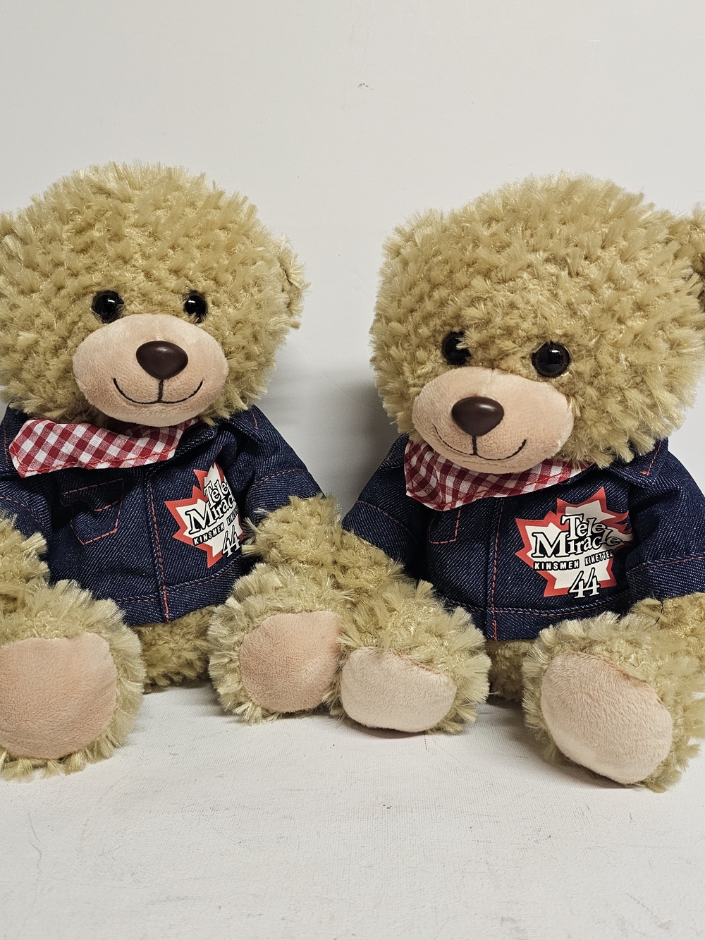TeleMiracle 44 2020 Teddy Bear Plush Set of 2 Saskatchewan Collectible
